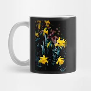 Daffodil Blooms #2 Mug